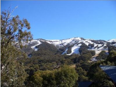 Alpenhorn Lodge - Melbourne 4u 1