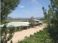 Mudgee Vineyard Motor Inn - Accommodation Melbourne 1