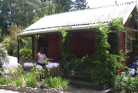 Cedar Lodge Cabins - Melbourne 4u 1
