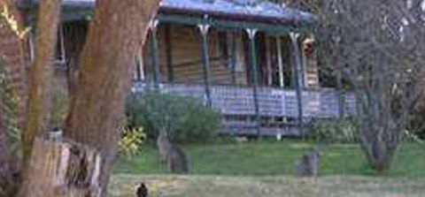 Cedar Lodge Cabins - Melbourne 4u 3
