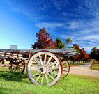 The Oaks Ranch and Country Club - Mossy Point - Accommodation Melbourne