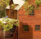 Barrington Tops Organic Retreat - Accommodation Melbourne