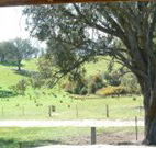 Hosanna Farm Retreat - Accommodation Melbourne