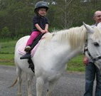 Mansfield Cottage Barrington Tops Accommodation - Accommodation Melbourne