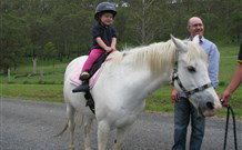 Mansfield Cottage Barrington Tops Accommodation - Accommodation Melbourne 0