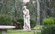 Mansfield Cottage Barrington Tops Accommodation - thumb 6