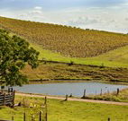 Sanctuary Hill Retreat - Accommodation Melbourne