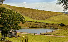 Sanctuary Hill Retreat - Accommodation Melbourne 0