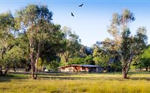 Starline Alpaca Farm Stay - Accommodation Melbourne 2