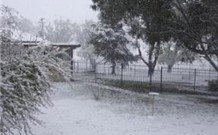 Tirrintippin - Accommodation Melbourne 0