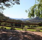 Cedar Grove - - Accommodation Melbourne