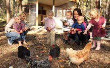 Chiltern Lodge Country Retreat - Accommodation Melbourne 1