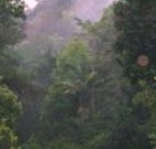Havans Ecotourist Retreat - - Accommodation Melbourne