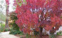 Langford House B&B - Accommodation Melbourne 4