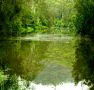 Mangrove Yoga Ashram - - Accommodation Melbourne