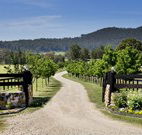 Pemberley Grange Hunter Valley Getaway - Accommodation Melbourne