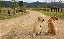 Pemberley Grange Hunter Valley Getaway - Accommodation Melbourne 1