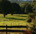 Pines on the Plateau - Accommodation Melbourne