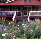 Rose Patch Bed and Breakfast - Accommodation Melbourne