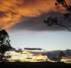 Silkwood B and B - Accommodation Melbourne
