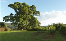 Silos Estate - - Accommodation Melbourne 1