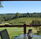 The Shed B and B - Accommodation Melbourne