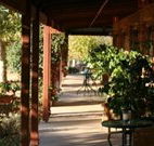The Vineyard Motel - Accommodation Melbourne