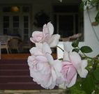 White House Heritage Guesthouse - Accommodation Melbourne