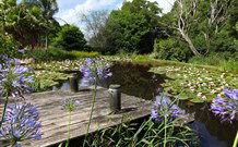 Yellow Dog Cottage - - Accommodation Melbourne 4