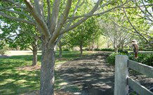 Yellow Dog Cottage - - Accommodation Melbourne 6