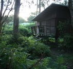 Mount Seaview Resort - Accommodation Melbourne