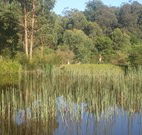 Fosterton Lodge Retreat - Accommodation Melbourne