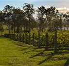 Hidden Treasure - Accommodation Melbourne