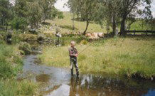Milton Country Retreat - Accommodation Melbourne 1
