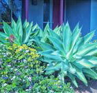 Retreat Homestead - Accommodation Melbourne