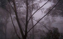 SeaChange Holiday Cottage And SeaStay Cottage - Accommodation Melbourne 4