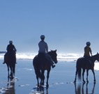 The Hayloft - Accommodation Melbourne