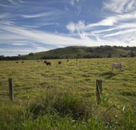 Annas Retreat - Accommodation Melbourne