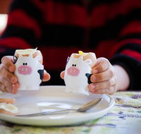 Cosy Cow Farmstay Bed and Breakfast - Accommodation Melbourne