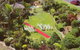 Rosslyn Bay Resort And Spa - thumb 1