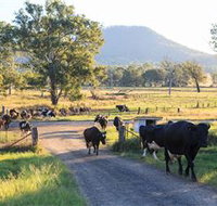 Tommerups Dairy Farmstay - Accommodation Melbourne
