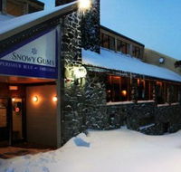 Snowy Gums Chalet - Accommodation Melbourne