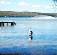Dungowan Waterfront  Accommodation - Accommodation Melbourne