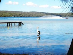 Dungowan Waterfront  Accommodation - Accommodation Melbourne 0
