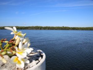 The Fishing Haven Holiday Park - Accommodation Melbourne 0