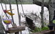 Clyde River Cottage - thumb 0