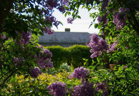 Eurambeen Historic Homestead And Gardens - Accommodation Melbourne 1
