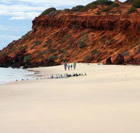 Herald Bight Camp at Francois Peron National Park - Accommodation Melbourne