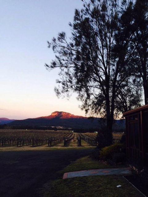 Nightingale Wines Luxury Villas - Accommodation Melbourne 1