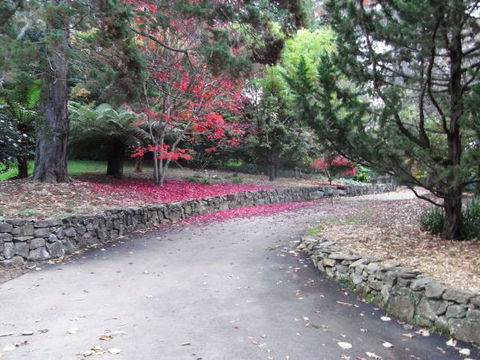 The Jungle Lodge, Blue Mountains Botanic Gardens - Accommodation Melbourne 5